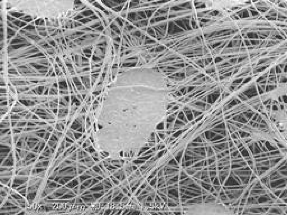 PP SPUNBOND NONWOVEN