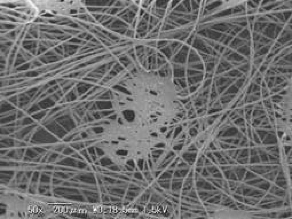 PP SPUNBOND NONWOVEN